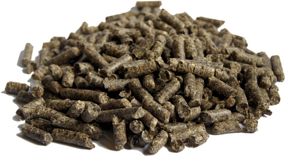 Sugar beet pellets