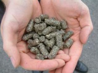 Sunflower Pellets