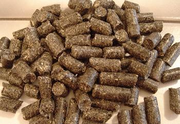 Sunflower Pellets2