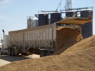 cattle-feed raw materials